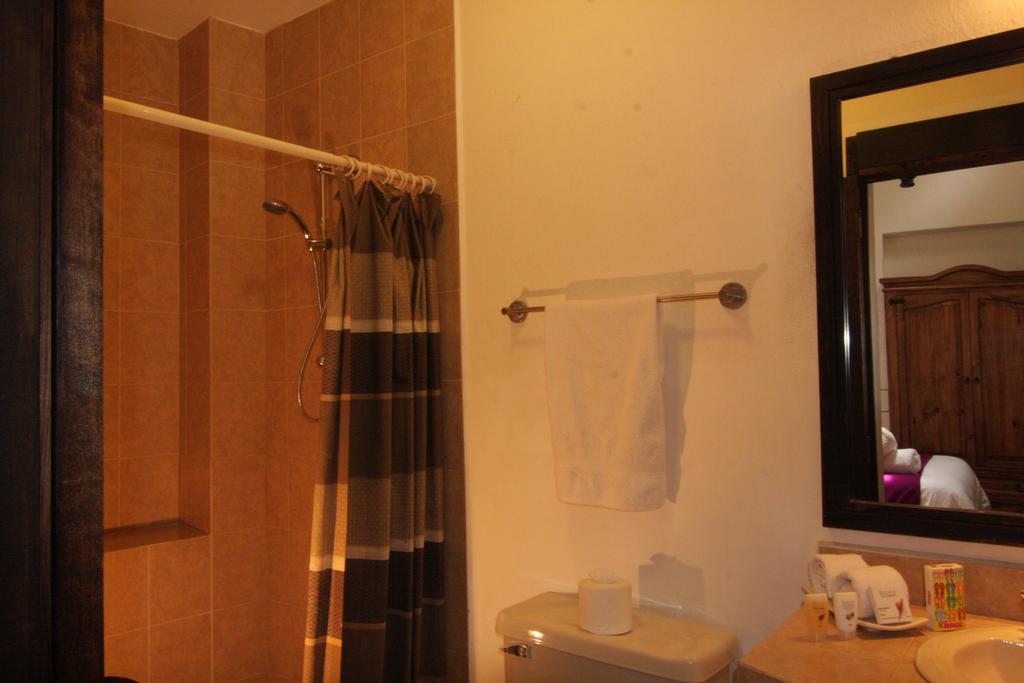 Hotel Villa Del Villar Querétaro Dış mekan fotoğraf