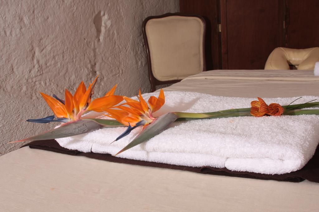 Hotel Villa Del Villar Querétaro Dış mekan fotoğraf